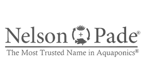 Nelson and Pade
